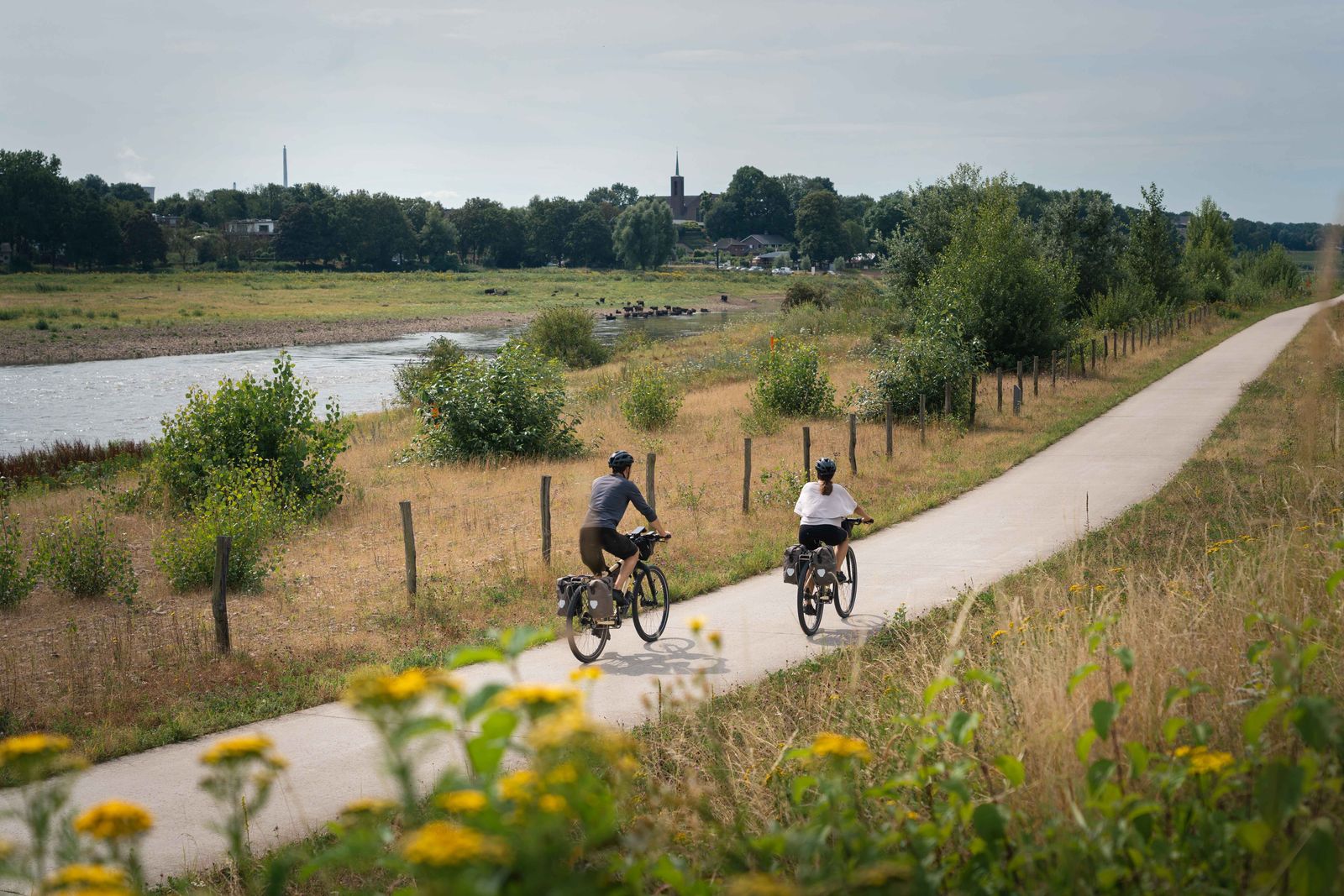 2 cyclistes sur la piste cyclable de la Meuse à vélo. Crédit Photo :
Tristan Bogaard / EuroVelo 19 Route Partnership